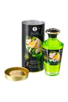 Масло массажное для тела Shunga «Экзотический зеленый чай» (Exotic Green Tea), разогревающее, 100мл. 2311 - Секс шоп в Челябинске, интернет магазин интимных товаров | Мулен Руж